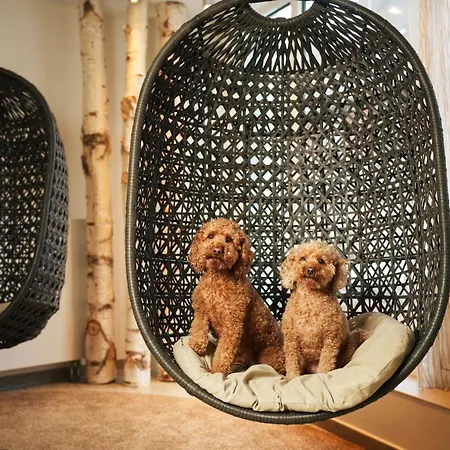 リッター ホテル