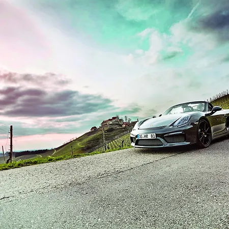 ホテル リッター 4*